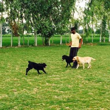 Trainer Tiwana