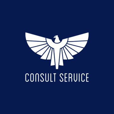 Consult Service SNC