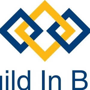 Build In BIM