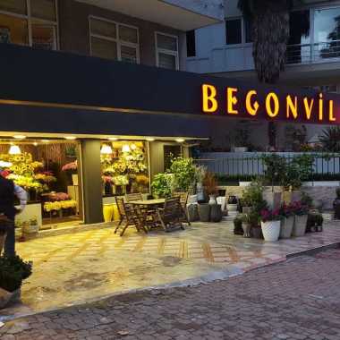 BEGONVİL ÇİÇEKÇİLİK