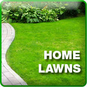 Sports Turf Services