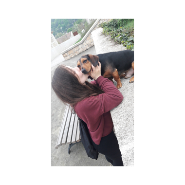 Nincs