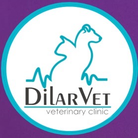 Clinica Veterinaria DilarVet