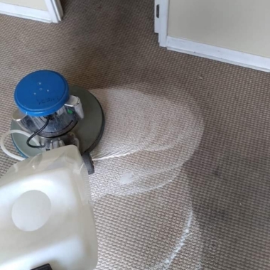 Lavado de alfombras maipu