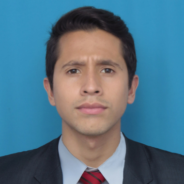 Litigante, consultor, representación