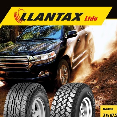 IMPORTADORA LLANTAX  LTDA
