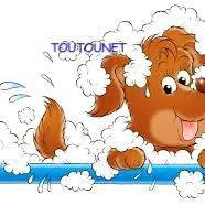 Toutounet