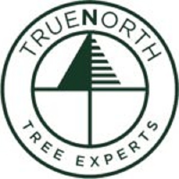 True North Tree Expert |Canada