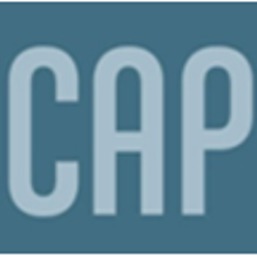 CAP CONSEIL EXPERTISE