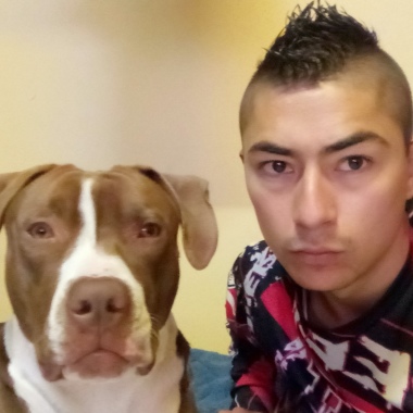 Dogs Love's