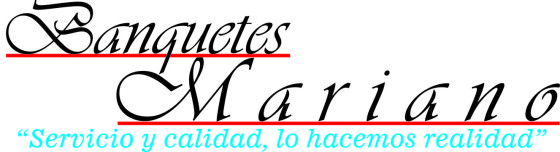 Ceràmica ley