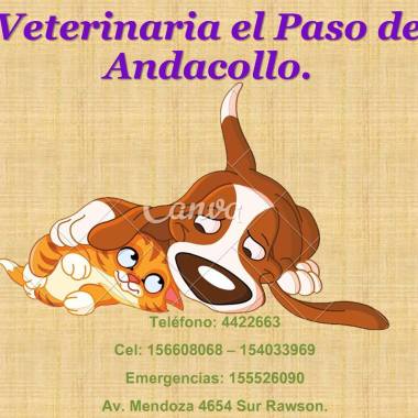 Veterinaria el Paso de Andacollo