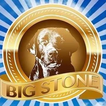 Big Stone Labrador