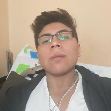 Docente Particular