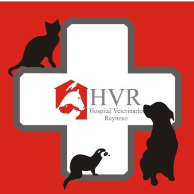 HOSPITAL VETERINARIO  REYNOSO