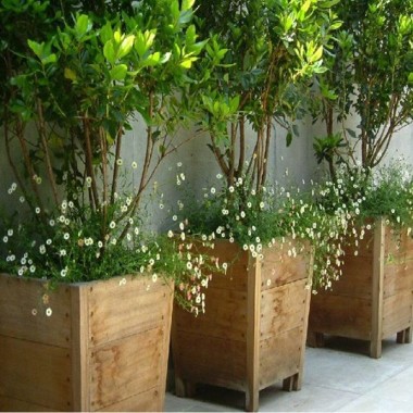 Jardineros en Toluca