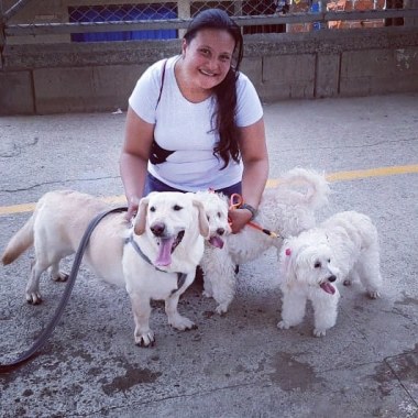 Paseadora canina