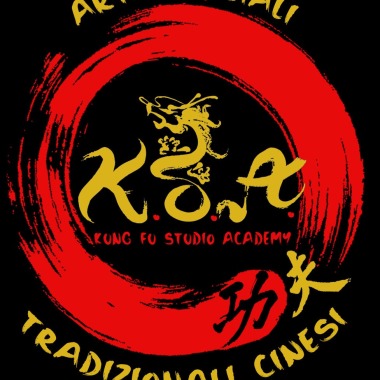 Kung fu Studio Academy