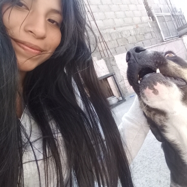 Cuidado y paseo de mascotas