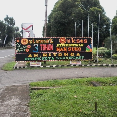 Cv.Musliha florist