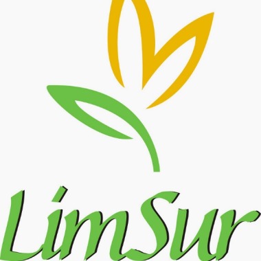 Limsur