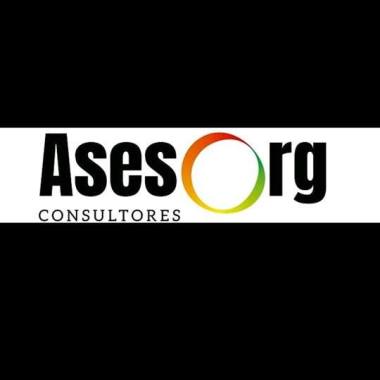 AsesorgConsultores