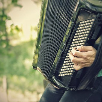Professeur d'accordéon