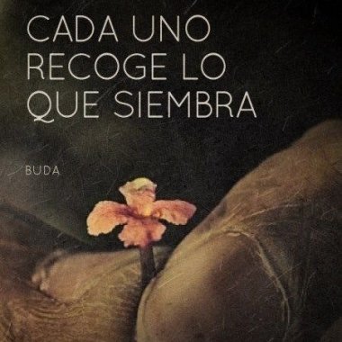 Naturalmentesano