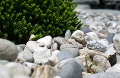 Stone and Water World Limited