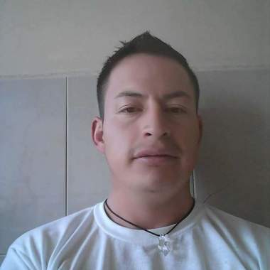 Carpiconstru
