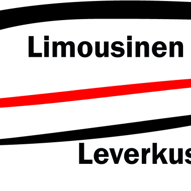 LS-LEV Die Alternative Zum TAXI