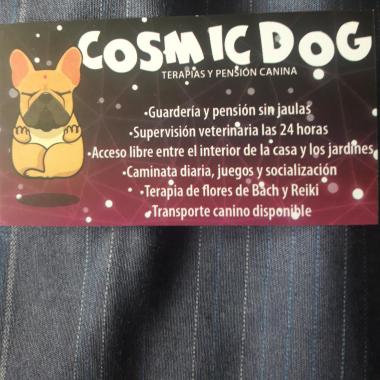 Cosmic Dog