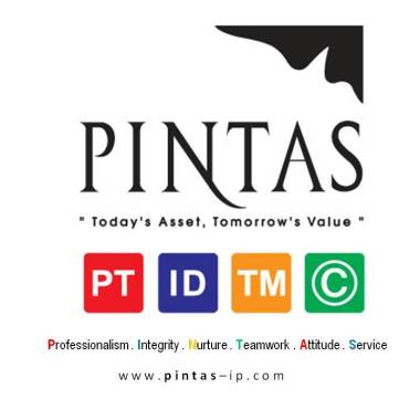 Pintas IP Group
