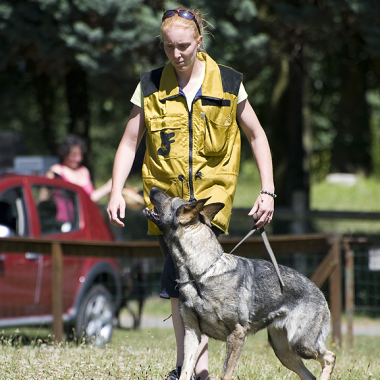 Education-Canine91