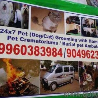 Royal Pet Resort