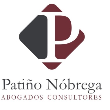 Patiño Nobrega, Consultores