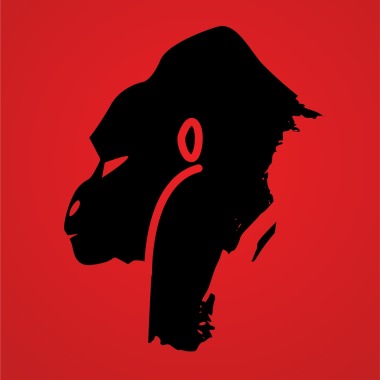 Dear Gorilla