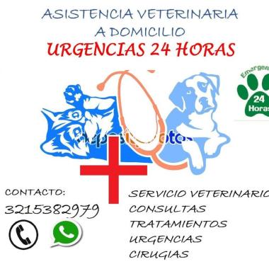Veterinarios a domicilio 24 hrs