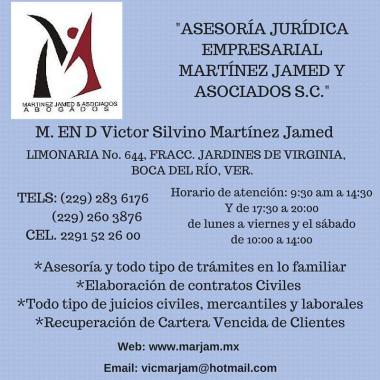 ASESORÍA JURÍDICA EMPRESARIAL MARTÍNEZ JAMED S.C.