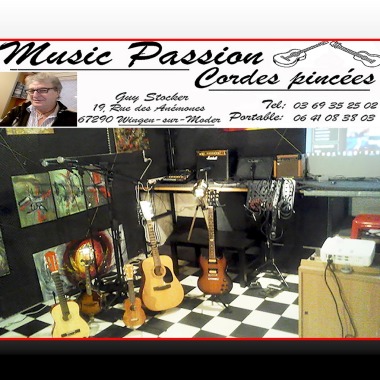 Ecole de musique à cordes pincées