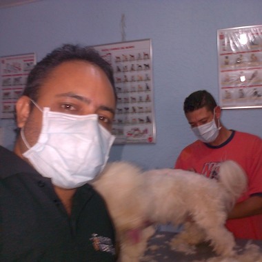 La Perruqueria Spa Perros
