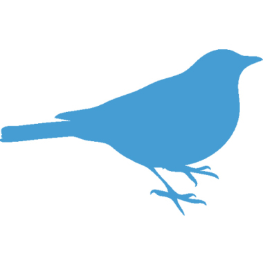 Blue Robin Travel