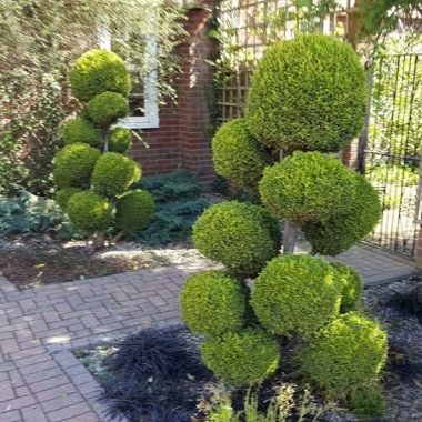 Kent garden seevices
