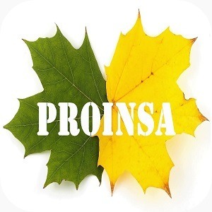 Proinsa