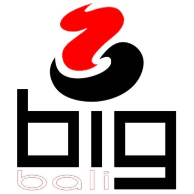 BIG bali Jasa Website ﹠ SEO