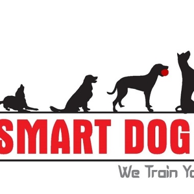 SMART DOG TRAINERS