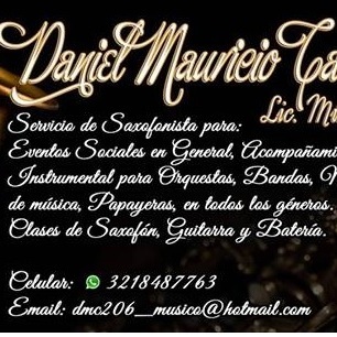 Licenciado en Música