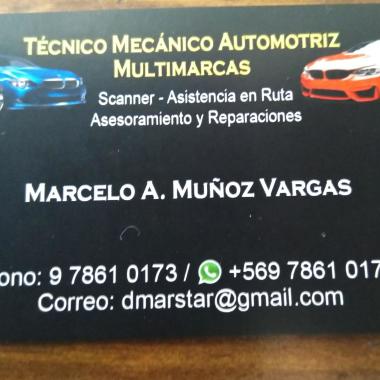 Marcelo