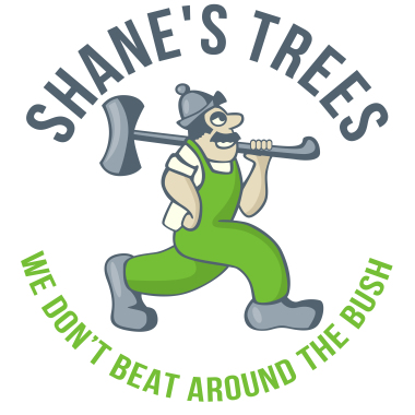 Shane's Trees