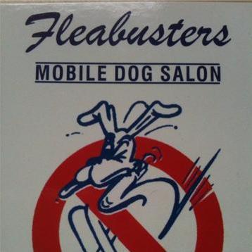Flea Busters